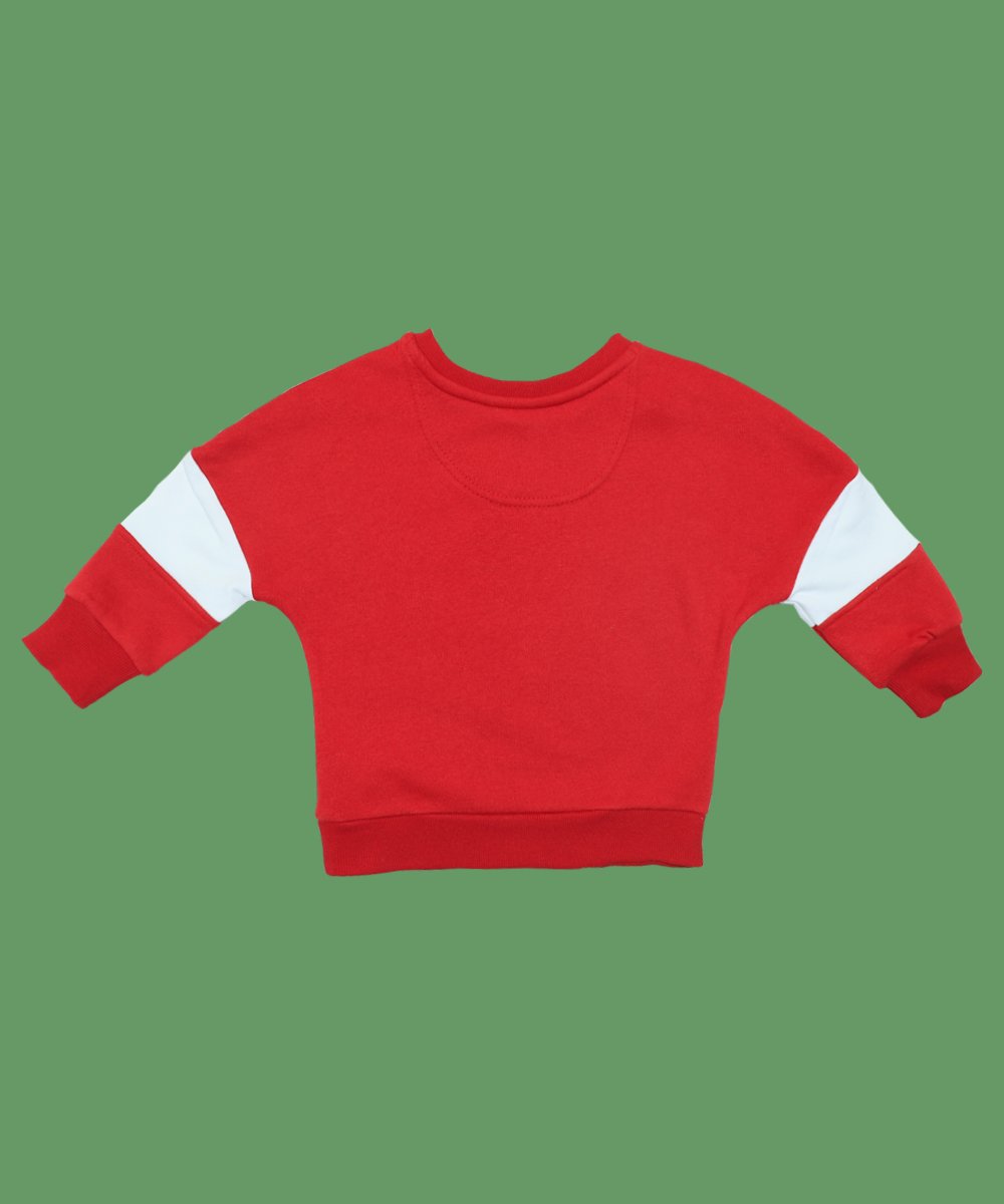 Boys  Sweat Shirt ( 0/3 M-6 Years) (104120)
